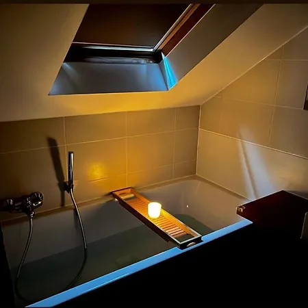 L'oiseau Sur La Chaise Somme-Leuze