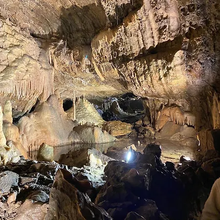 L'oiseau Sur La Chaise