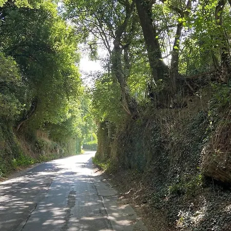 L'oiseau Sur La Chaise