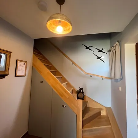 L'oiseau Sur La Chaise *