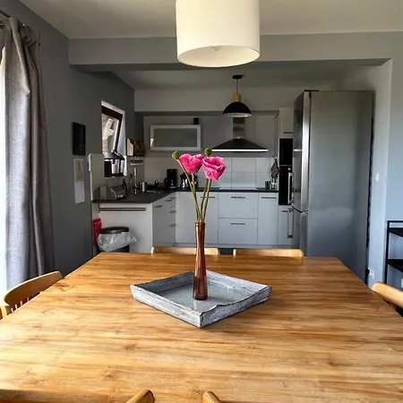 L'oiseau Sur La Chaise